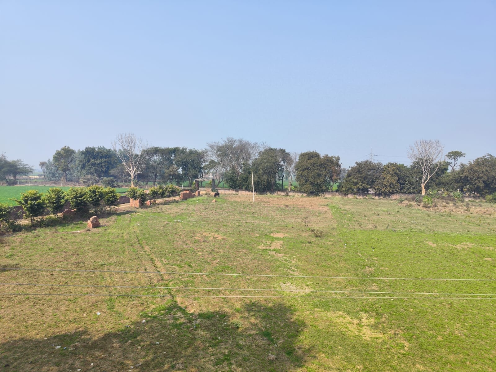 Emerald Rural Bridge Farm — real farm photo 2